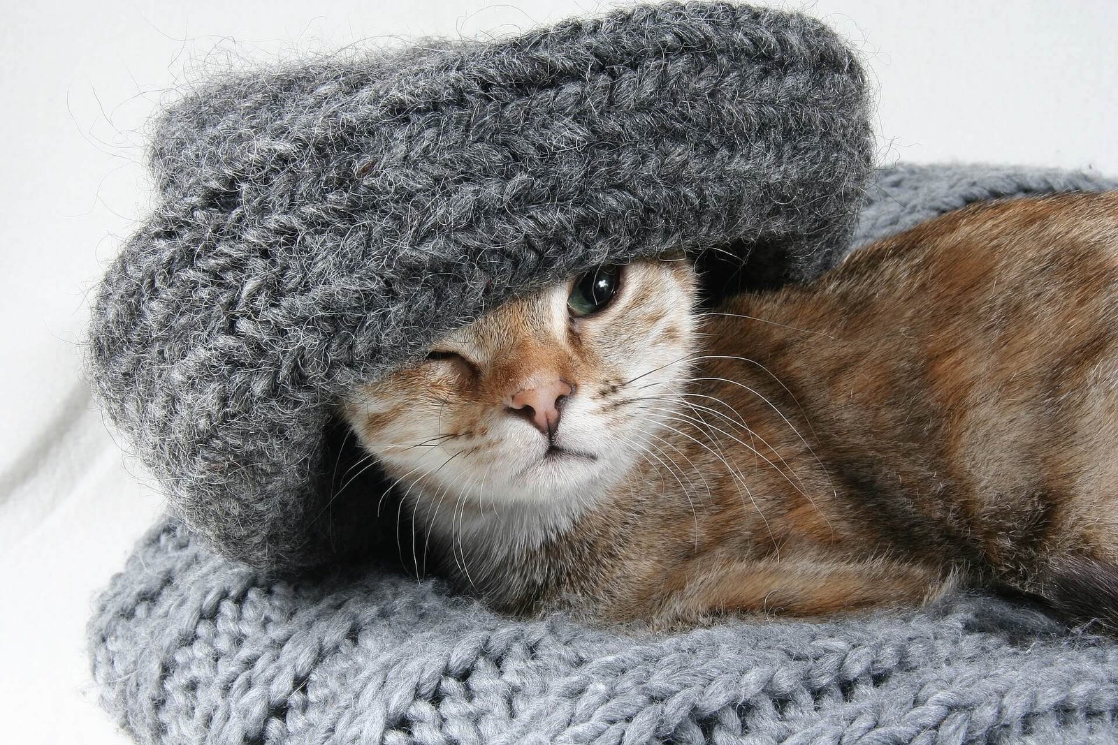 Kaip išsirinkti tinkamiausią plius dydžio megztinį?